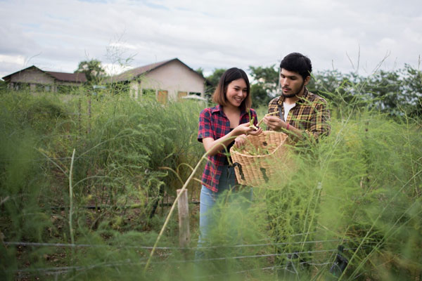 Lorem ipsum dolor sit amet consectetur adipisicing elit 15